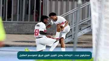 محترفون جدد.. الزمالك يعلن تكوين أقوى فريق للموسم المقبل